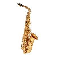 Saxofone Winner Alto Mib 7131 com case 